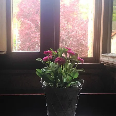 Rural La Casona De Gospodarstwo wiejskie